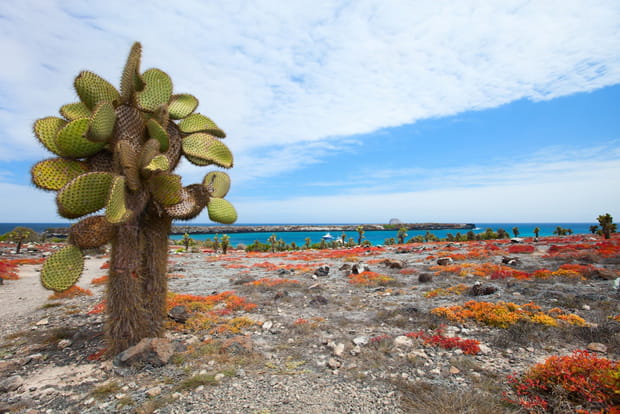 Les Galápagos, l'archipel enchanté