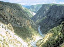 yellowstone nps