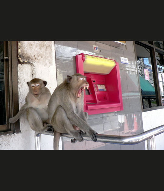 Un distributeur de billets bien gard&eacute;