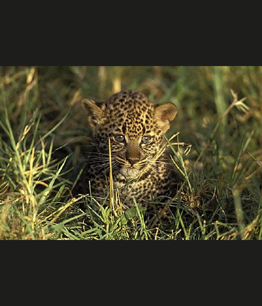 R&eacute;veil difficile