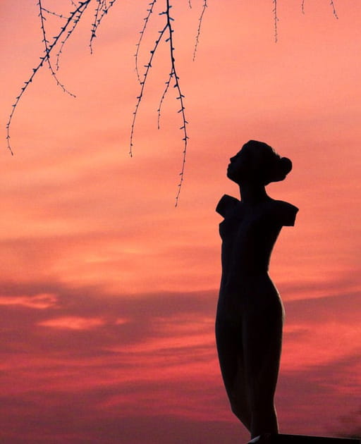 Silhouette vesp&eacute;rale