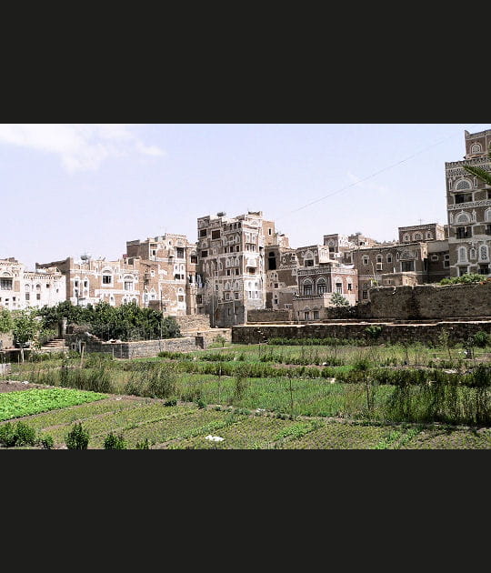 Fresques blanches sur Sana'a