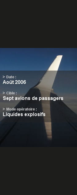 Sept avions en danger