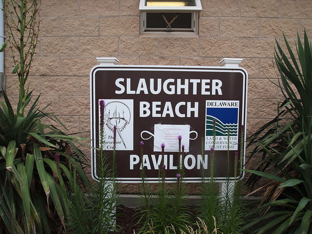 Slaughter Beach dans le Delaware : la plage du massacre