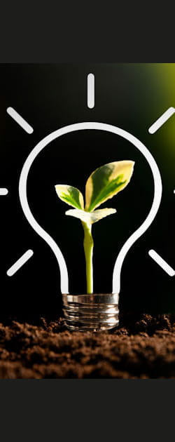 Quelle importance accordez-vous &agrave; l'&eacute;nergie verte&nbsp;?