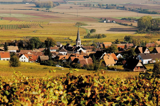 Nothalten
