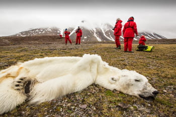 La terre en danger : 30 photos choc