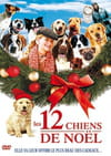 Les 12 chiens de Noël