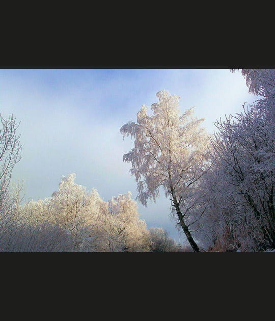 Cocon blanc