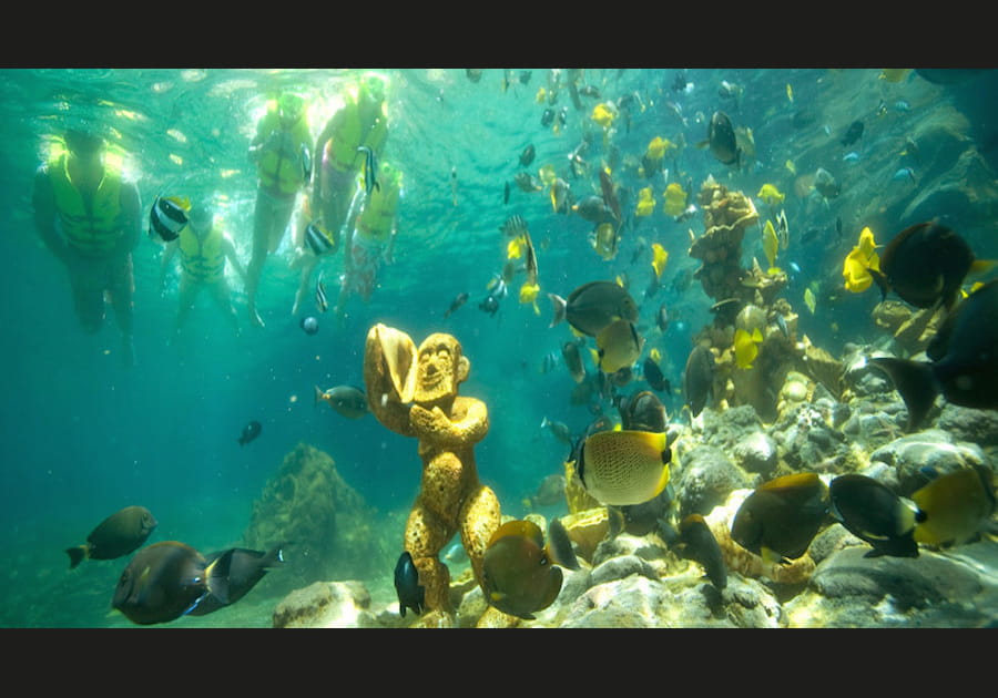 Faire du snorkeling au Disney Aulani Resort de Hawa&iuml;