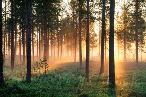 Le soleil de minuit au nord de la Suède