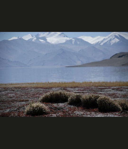 Le lac Karakul