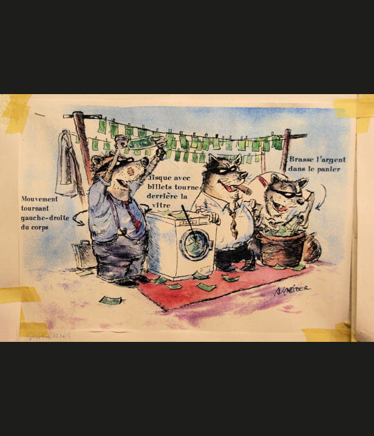 Les ratons laveurs