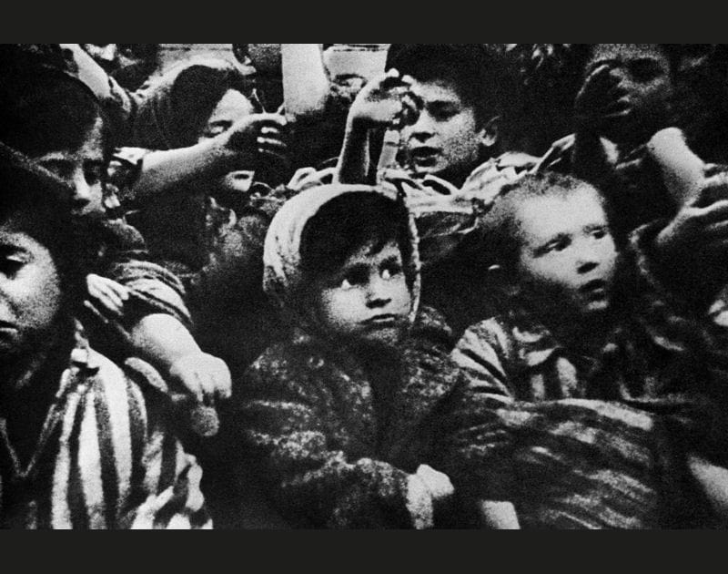 Enfants d'Auschwitz