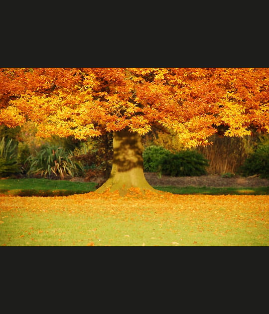 Couleurs automnales
