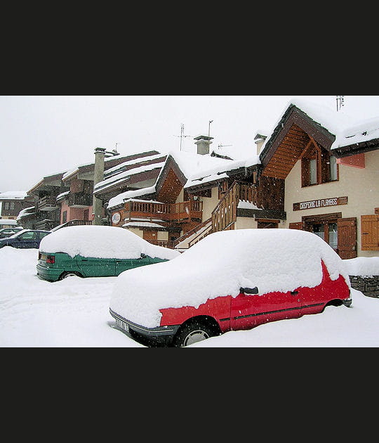 Sous la neige...