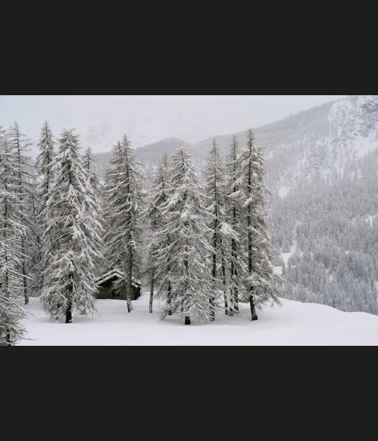 En pleine nature