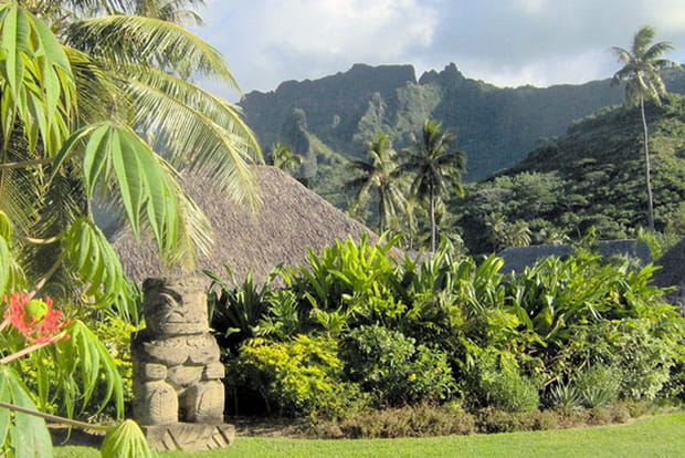 Une végétation luxuriante