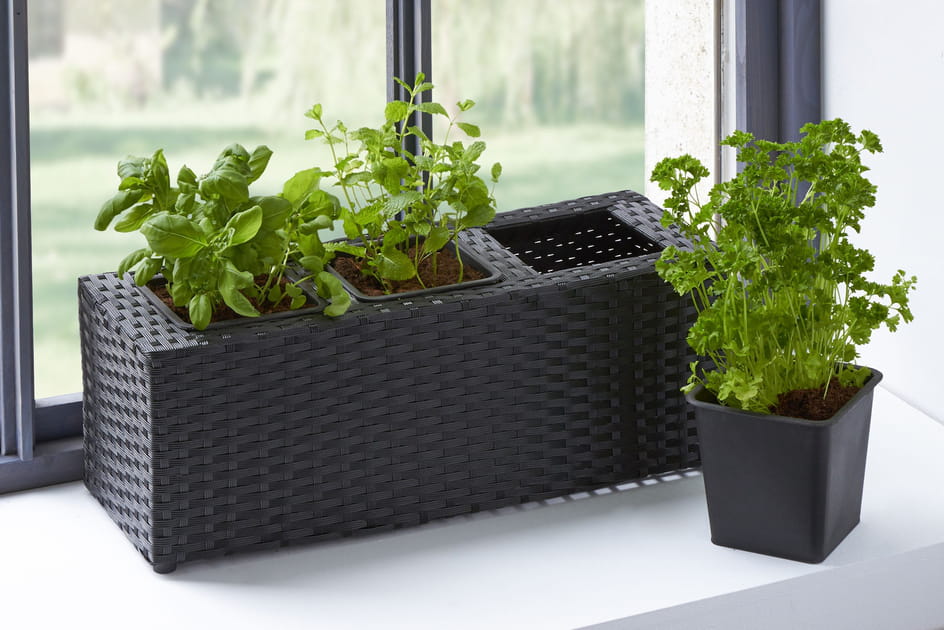 Une jardini&egrave;re, trois pots