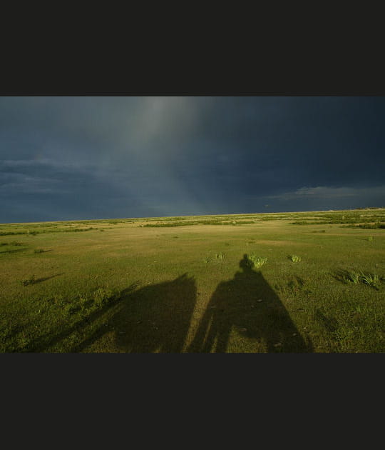 Dans l'aridit&eacute; des steppes