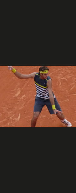 Del Potro, le supporter agress&eacute;