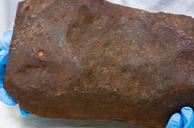 Un homme conserve une pierre pendant des ann&eacute;es en croyant qu'elle contient de l'or&nbsp;: elle s'av&egrave;re bien plus pr&eacute;cieuse