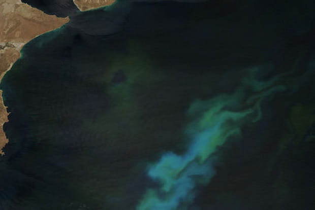 En Argentine, des eaux habitées