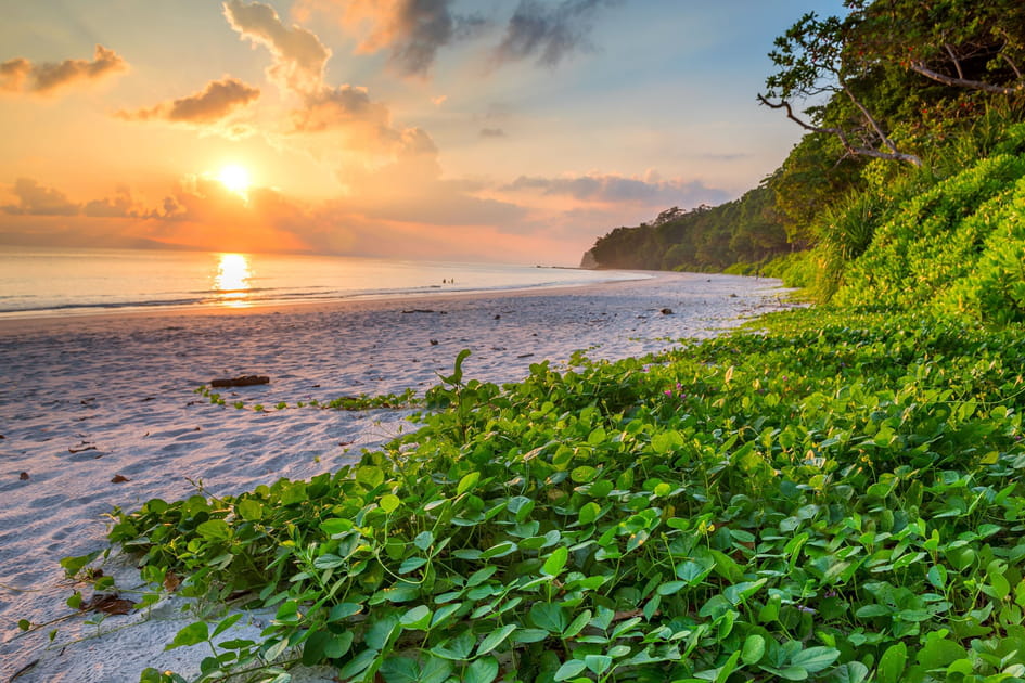 11- Radhanagar Beach, en Inde