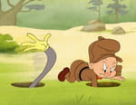 Looney Tunes Cartoons