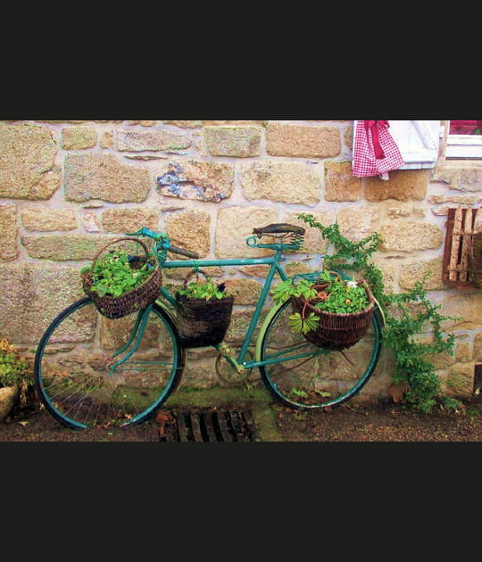 V&eacute;lo pots de fleurs