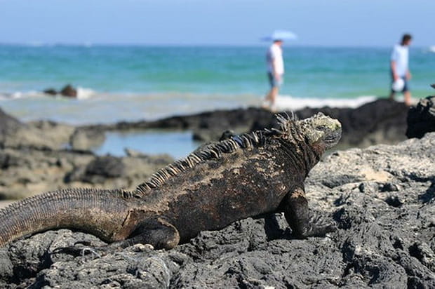 Au soleil, sur la plage