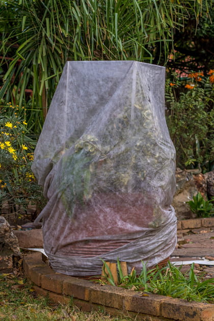 Prot&eacute;ger les plantes du froid