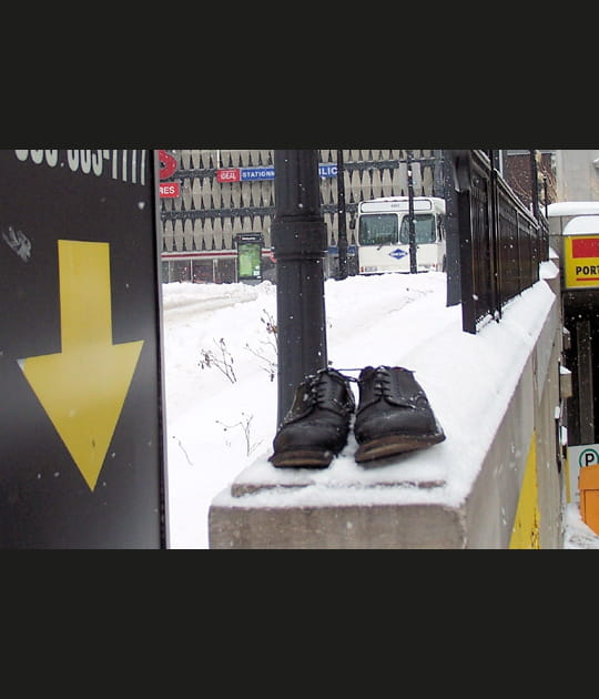 Oubli&eacute;es dans la neige