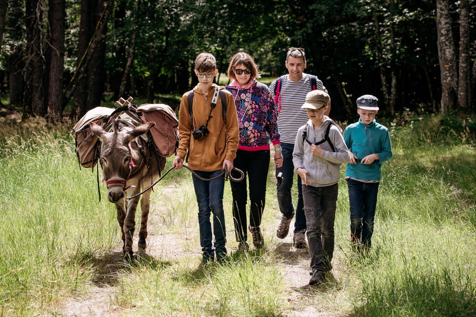 En Sologne avec les &acirc;nes de Madame