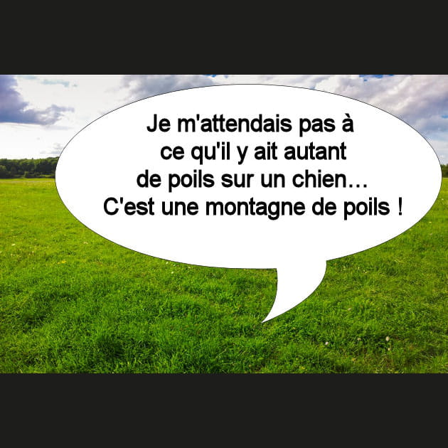 Yann&nbsp;: un pr&eacute;tendant au poil&nbsp;!