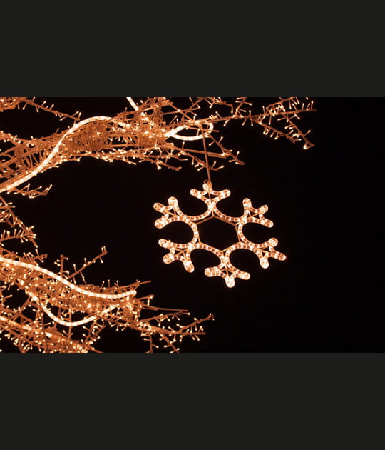 Branches d'&eacute;toile