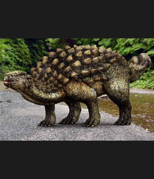 Une armure sur le dos