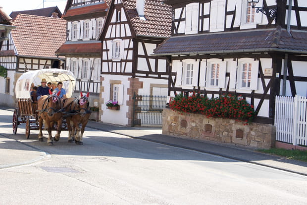 Une balade en calèche