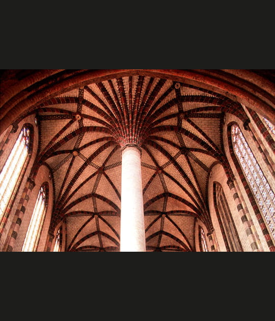 Le palmier des Jacobins