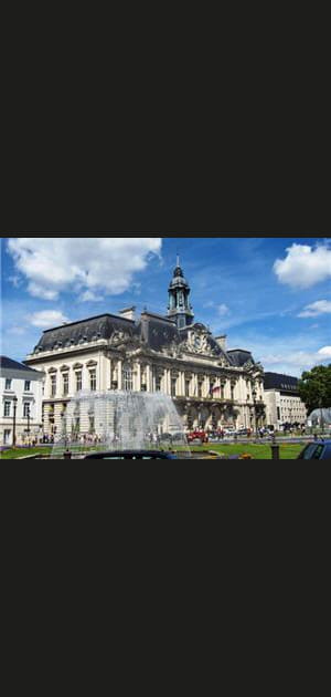 24e ex-aequo - Tours&nbsp;: 27,9&nbsp;% des&nbsp;m&eacute;nages ont un cr&eacute;dit immobilier