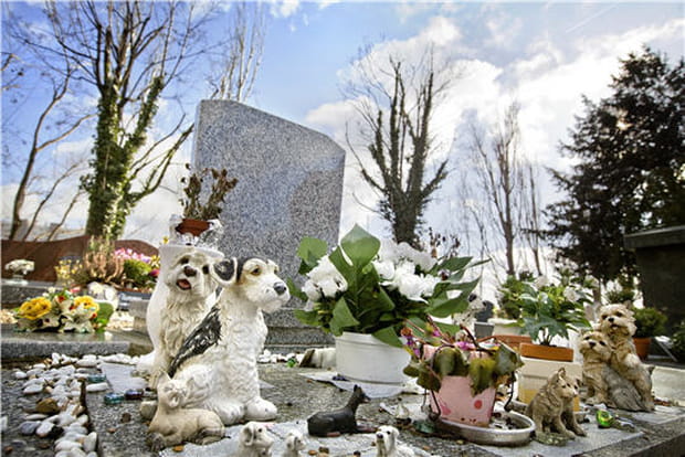 Vues insolites des Hauts-de-Seine