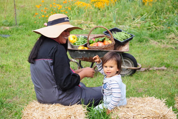Cueillette sauvage en Normandie