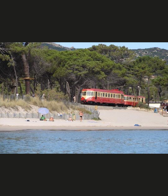 Le petit train