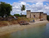 Horizons : Tanzanie