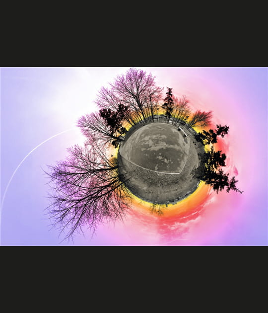 Plan&egrave;te rose