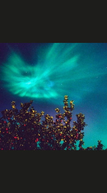 5&nbsp;exp&eacute;riences naturelles &agrave; vivre au&nbsp;Canada