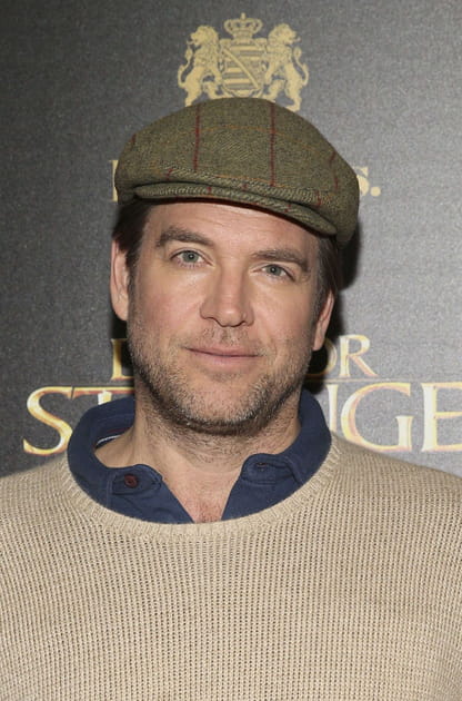 Michael Weatherly&nbsp;: l'&eacute;ternel agent DiNozzo