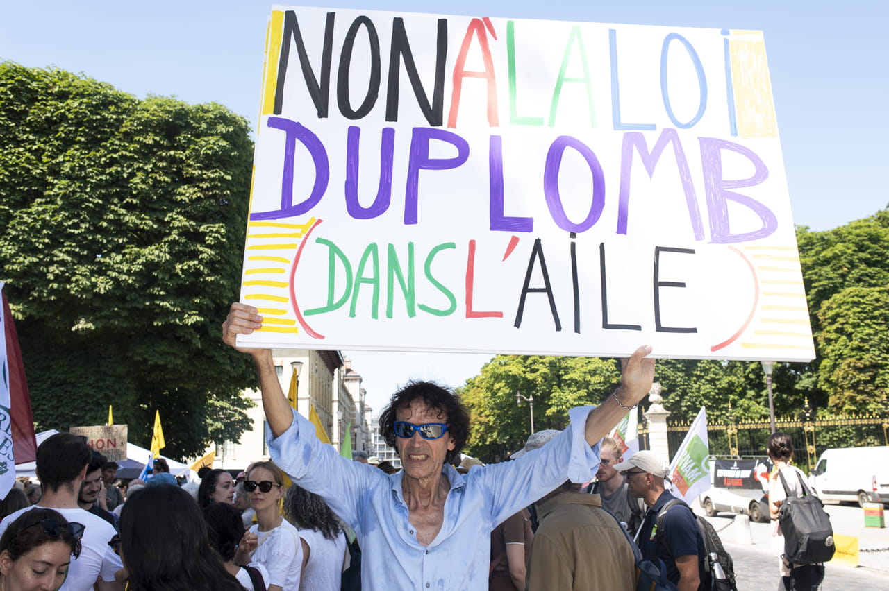 Pétition contre la loi Duplomb : où la trouver ? Peut-elle changer quelque chose ?