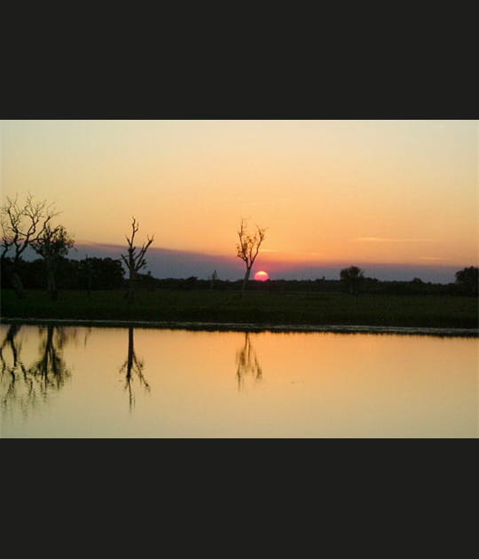 Explosion de couleurs