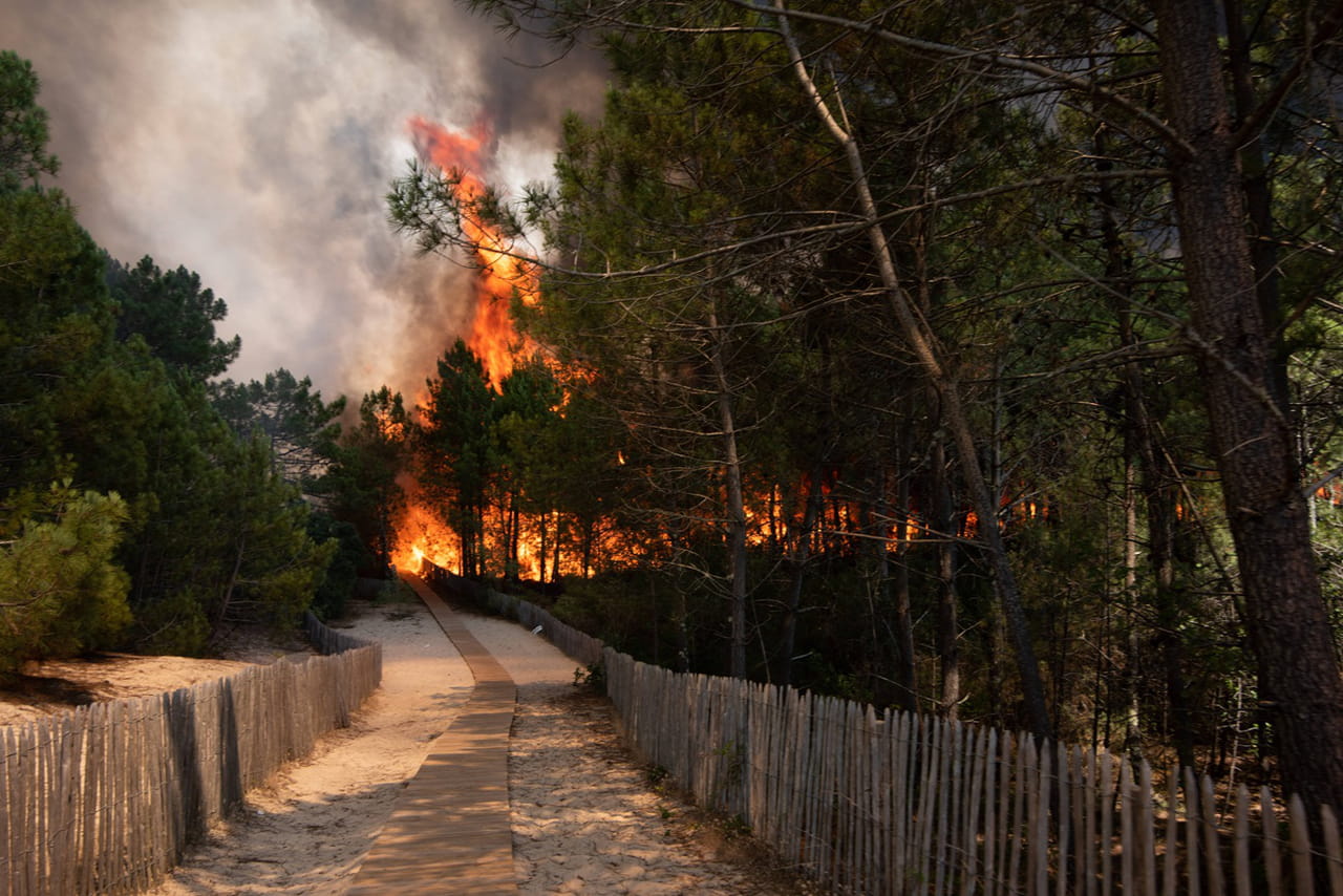 Feux de forêts : trois départements vigilance rouge pour risque 